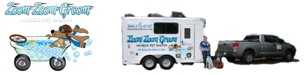 Zoom Zoom Groom